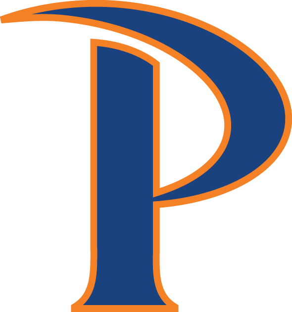 Pepperdine Waves 2011-Pres Primary Logo t shirts iron on transfers